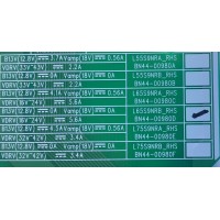 LED DRIVER PARA TV SAMSUNG / NUMERO DE PARTE BN44-00980D / L65S9NRB_RHS / BN4400980D / AM5RM750668 / DISPLAY BN9-48138A / LSF650FF11-P01 / MODELO QN65Q90RAFXZA FA02	